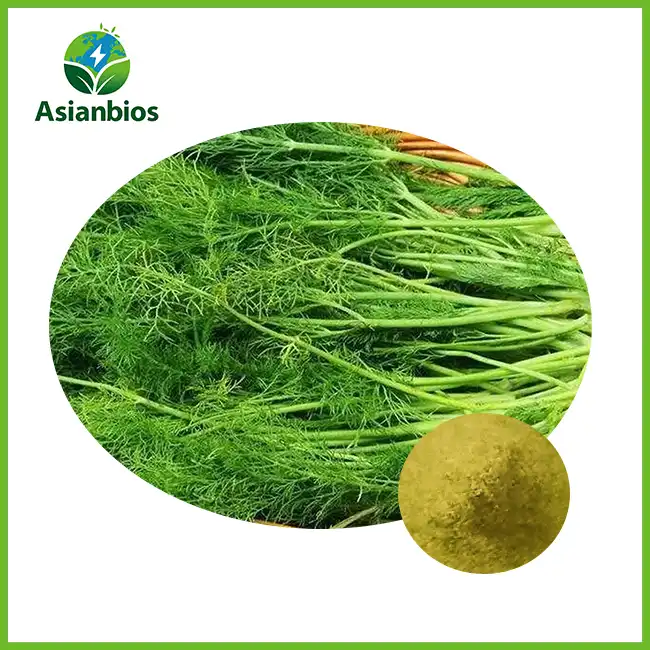 Fennel Extract Powder